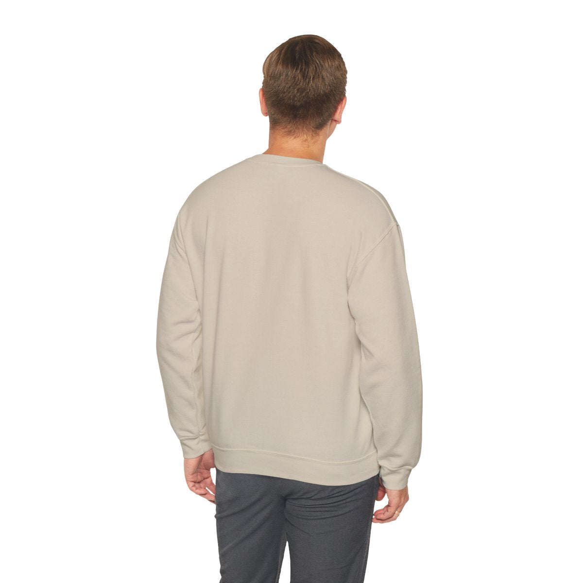 Unisex Sweatshirt mit Zitat - Goethe - Hier bin ich Mensch – person-3-back